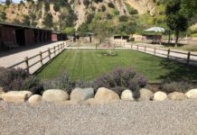 URGENT: Please limit time at barn