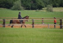 Summer 2020: Sterckx Stables in Belgium
